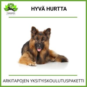 Hyvä hurtta