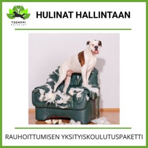 Hulinat hallintaan