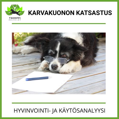 Karvakuonon katsastus