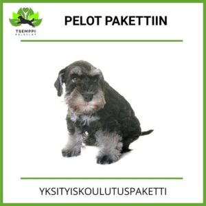 Pelot pakettiin