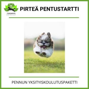 Pirteä pentustartti