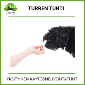 Turren tunti