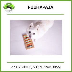 Puuhapaja