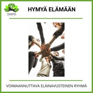 Hymyä Elämään