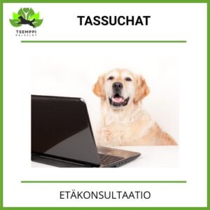 Tassuchat