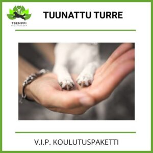 Tuunattu Turre
