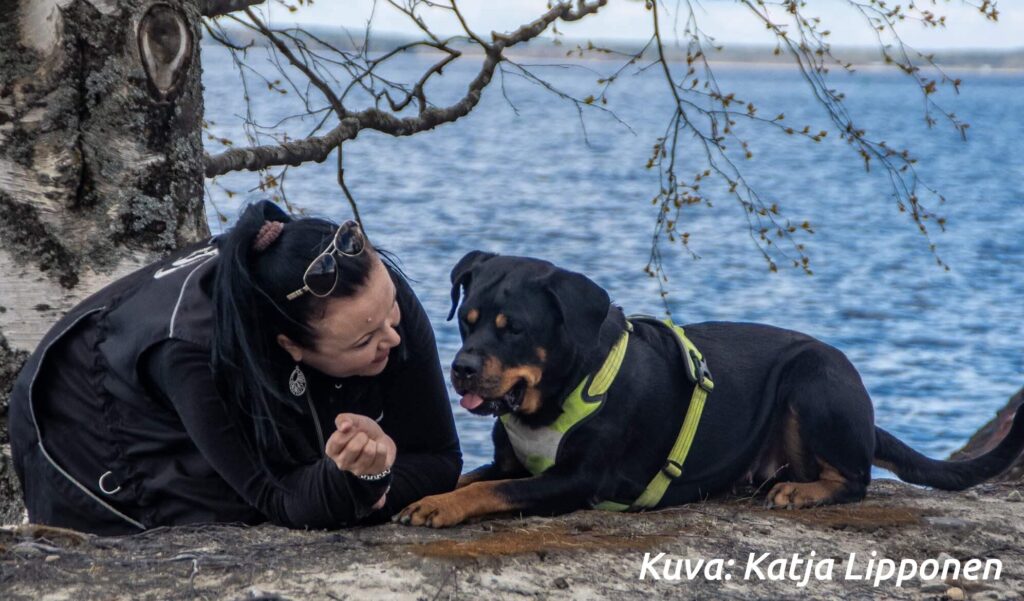 Koiran käytösneuvonta Joensuu koirakoulun webinaari koulutus verkossa