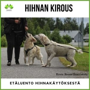Hihnan kirous-luento