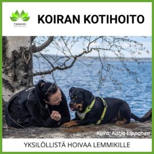 Kotihoito