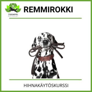 "Remmirokki" hihnakäytöskurssi 01/26
