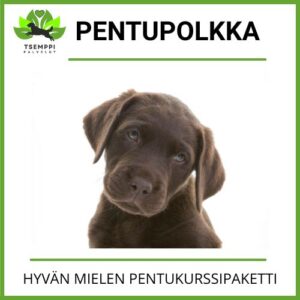 "Pentupolkka"-pentukurssipaketti