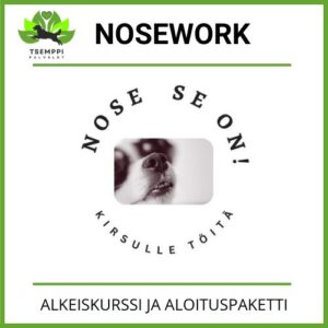TAMMIKUU nosework-alkeiskurssipaketti