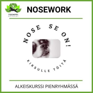 Nosework-alkeiskurssi/ torstai