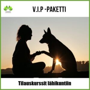 V.I.P. tilauskurssit
