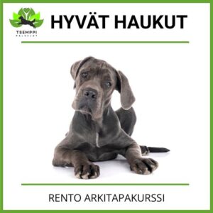 "Hyvät haukut" -arkitapakurssi
