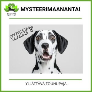 Mysteerimaanantai 5.1. klo18