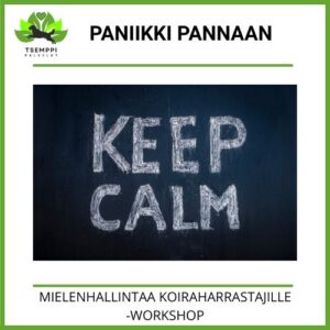 Paniikki pannaan -workshop