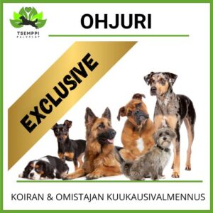 Ohjuri Exclusive -kuukausivalmennus