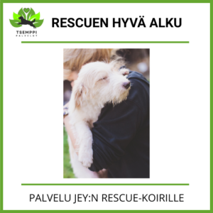 Rescuen Hyvä Alku