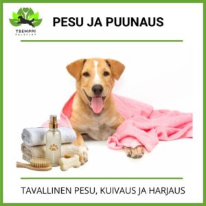 Pesu ja Puunaus