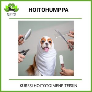 Hoitohumppa