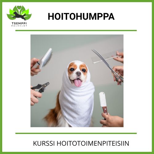 Hoitohumppa