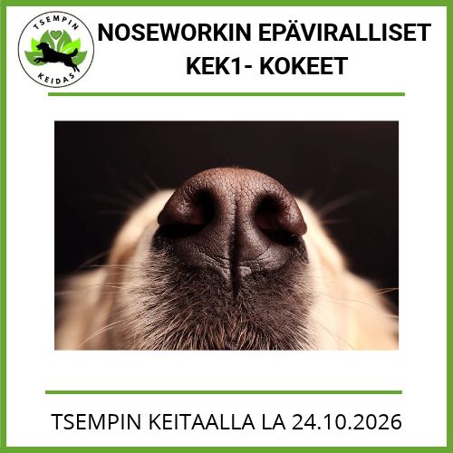 Noseworkin epäviralliset KEK1 -kokeet